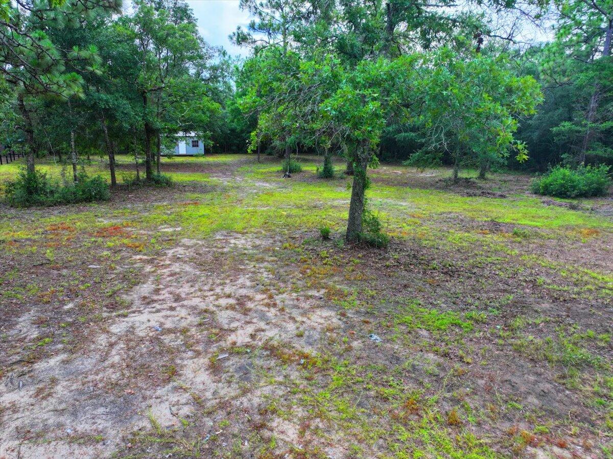 Hickory Hammock Estates - Land