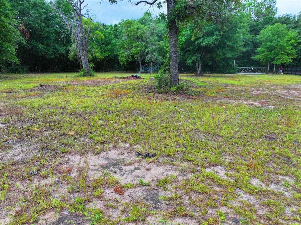 Hickory Hammock Estates - Land
