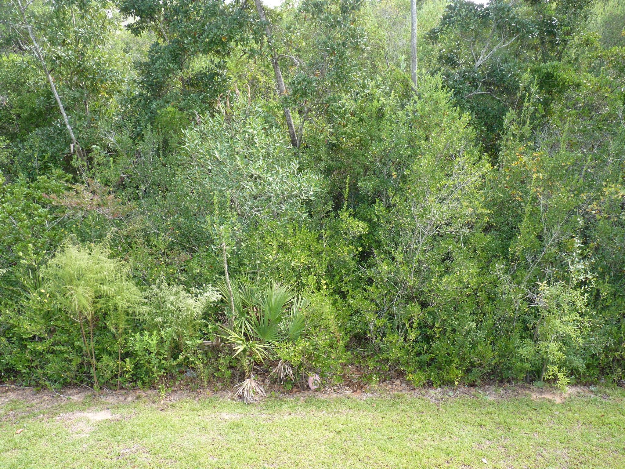 IRON GATE SUBD PHASE II - Residential