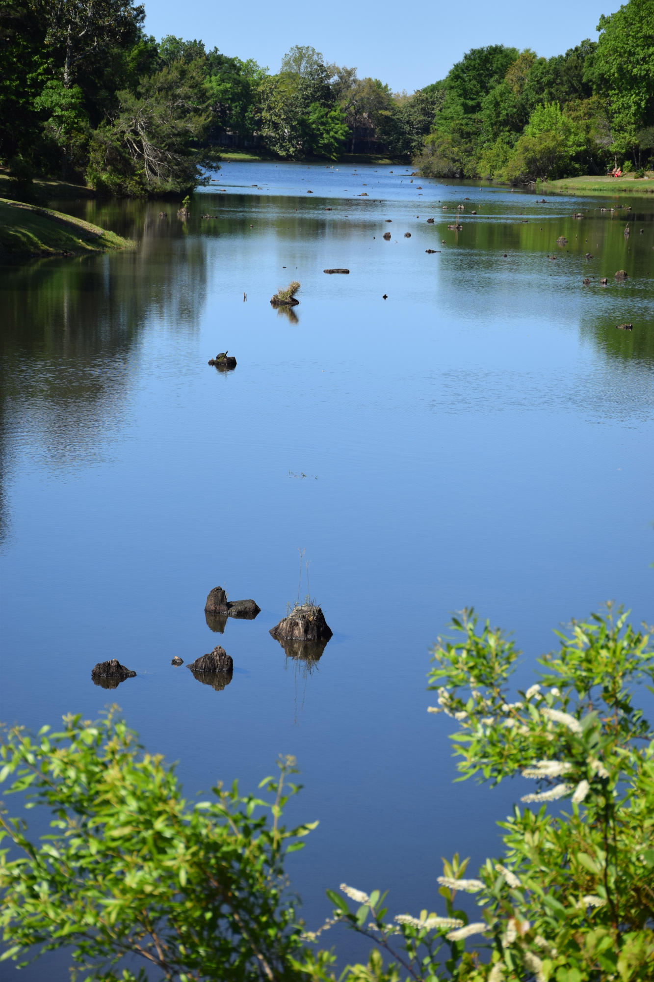 SOUTHWIND PH 4 - Residential