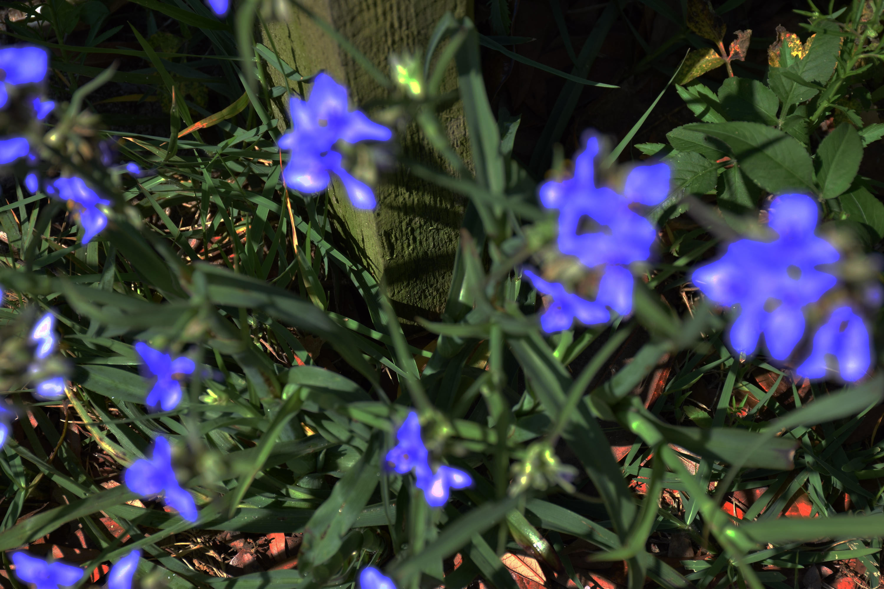 SOUTHWIND PH 4 - Residential