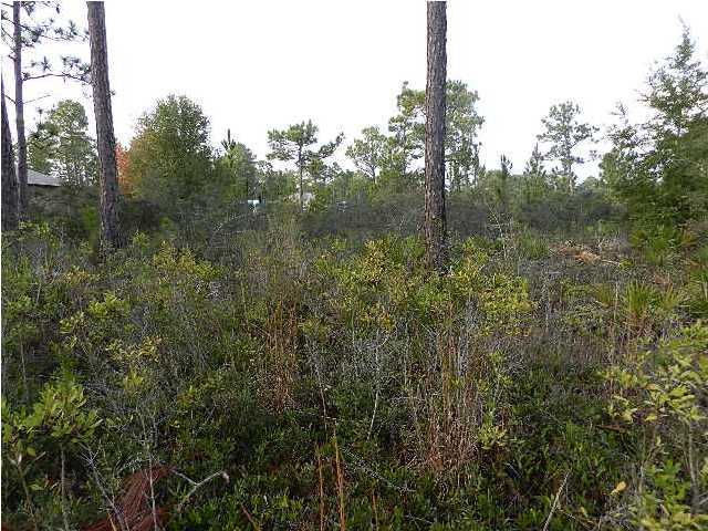 Great builders lot on paved street off Sherwood. .46 acre perfect for building your dream home in the lifestyle community of Holley By The Sea. 1.5 mile to Recreation complex, 6 miles to beachful sugar white beaches, centrally located between Fort Walton Beach and Pensacola, both with Airports. Enjoy the great climate of Northwest Florida and the many activities to keep families active with something for everyone.
