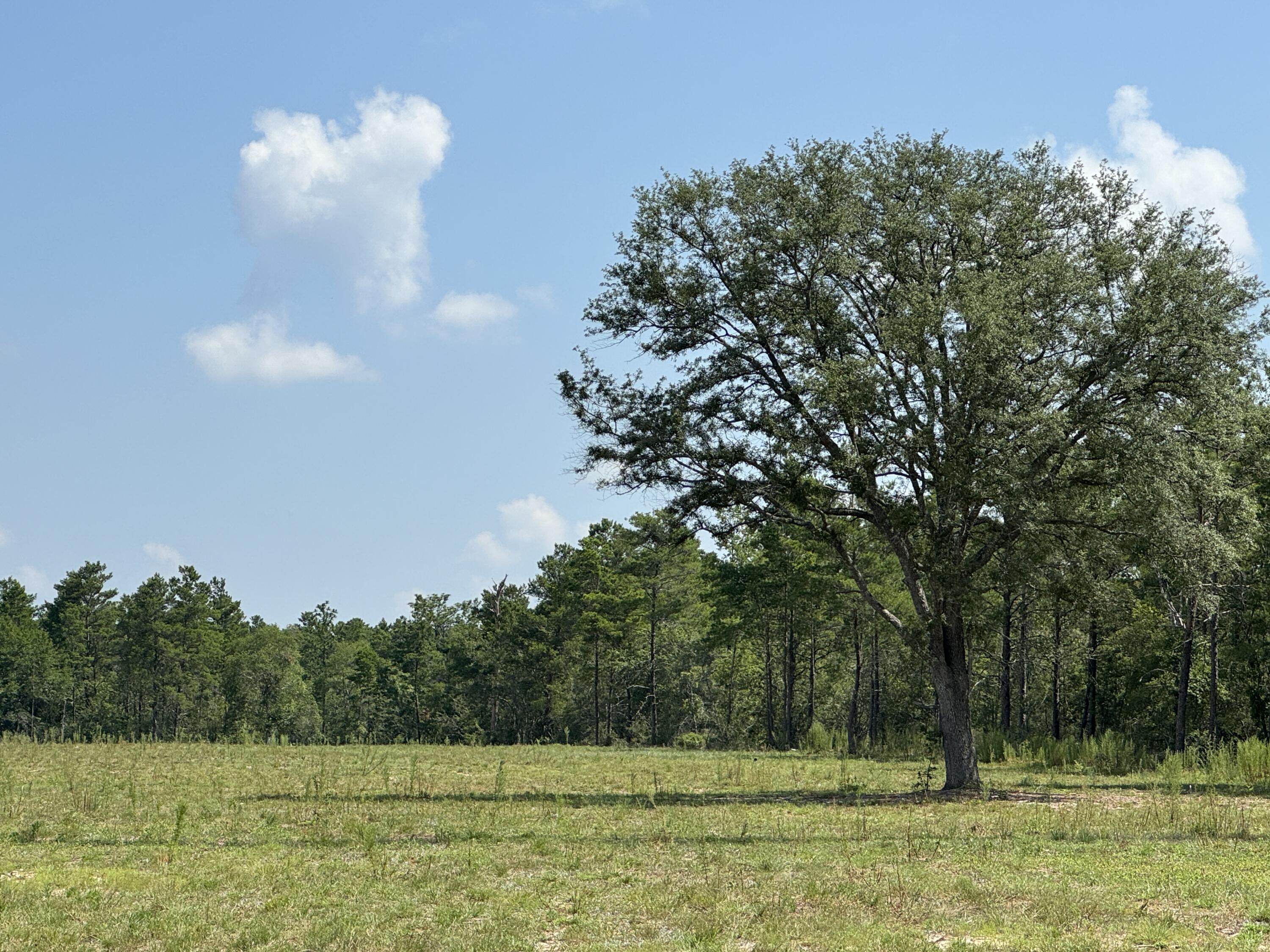 7.4 acre parcel on Hwy 90. Property has been cleared. Zoned Rural Residential. One house per 2.5 acres. Smart investment.