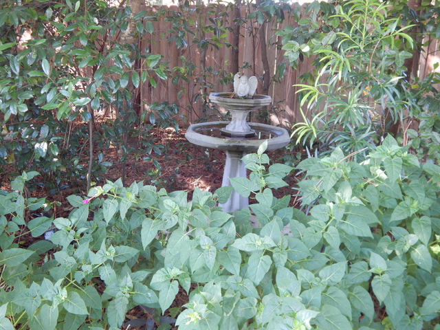 COUNTRYVIEW ESTATES 4TH ADDN - Residential