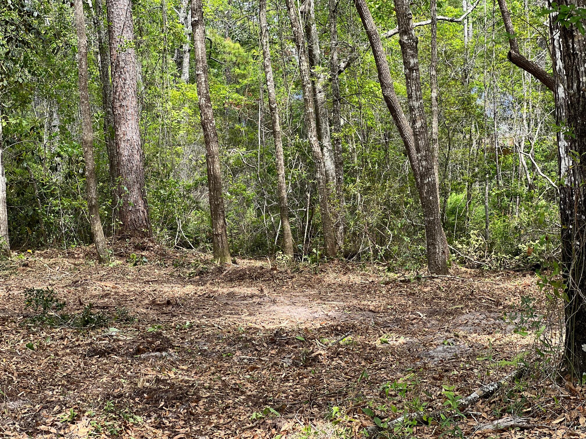 CROSS CREEK - Land