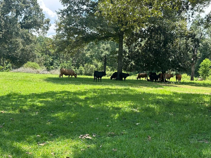 Lots 4 and 5 on Bullard Road offer approximately 15.5 +/- acres in the Milton area, providing a blank canvas for a range of potential uses. The location offers room to establish your plans in a quiet Northwest Florida setting. Seller will consider owner financing with approved terms. Sale to be contingent upon final approval of the property split by Santa Rosa County. Seller has never resided on the property and has no knowledge of any homeowners association, utilities, or easements; buyer to verify all information deemed important during due diligence.