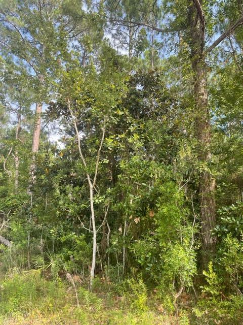 UNRECORDED SUBDIVISION - Land