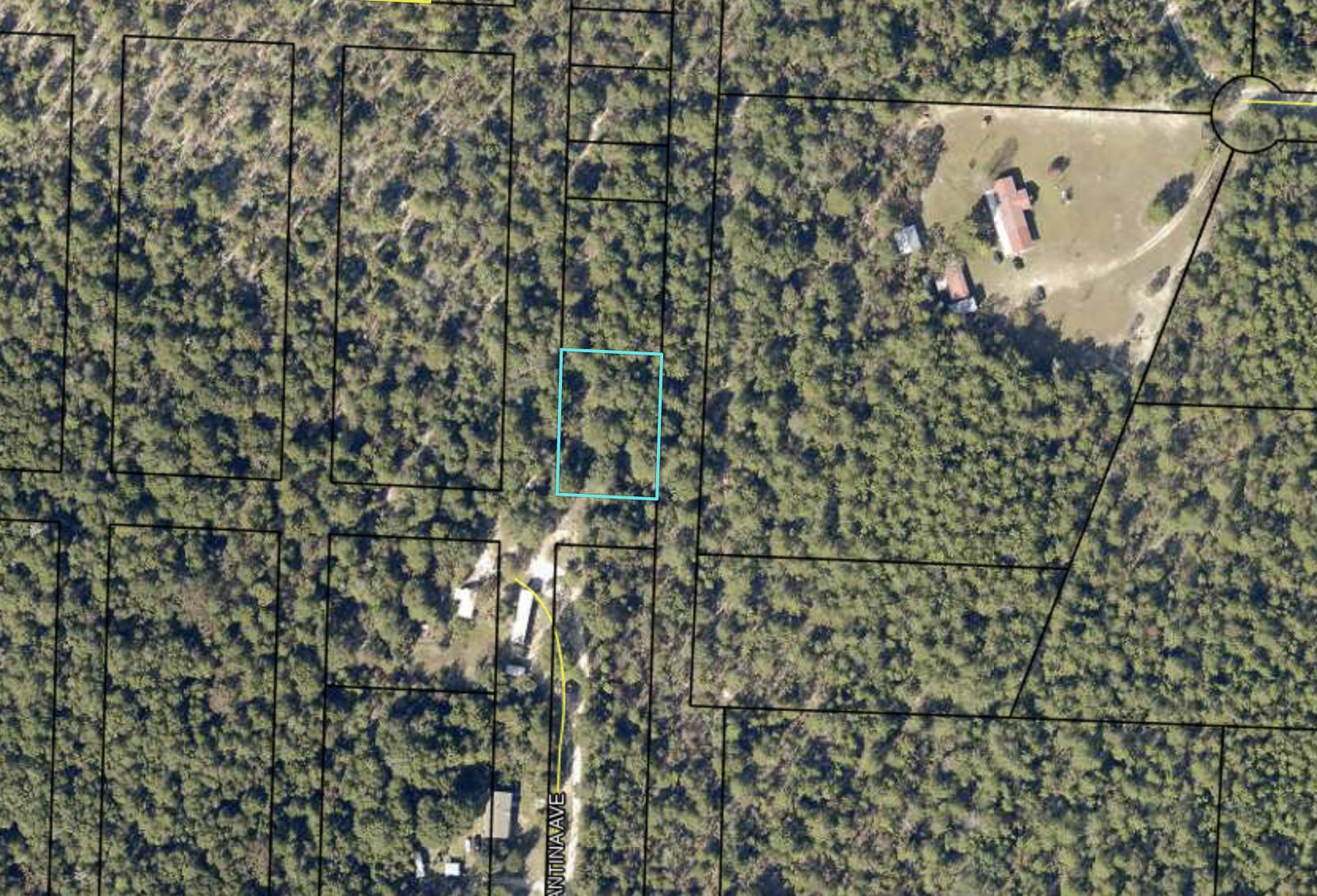 PINETREE - Land