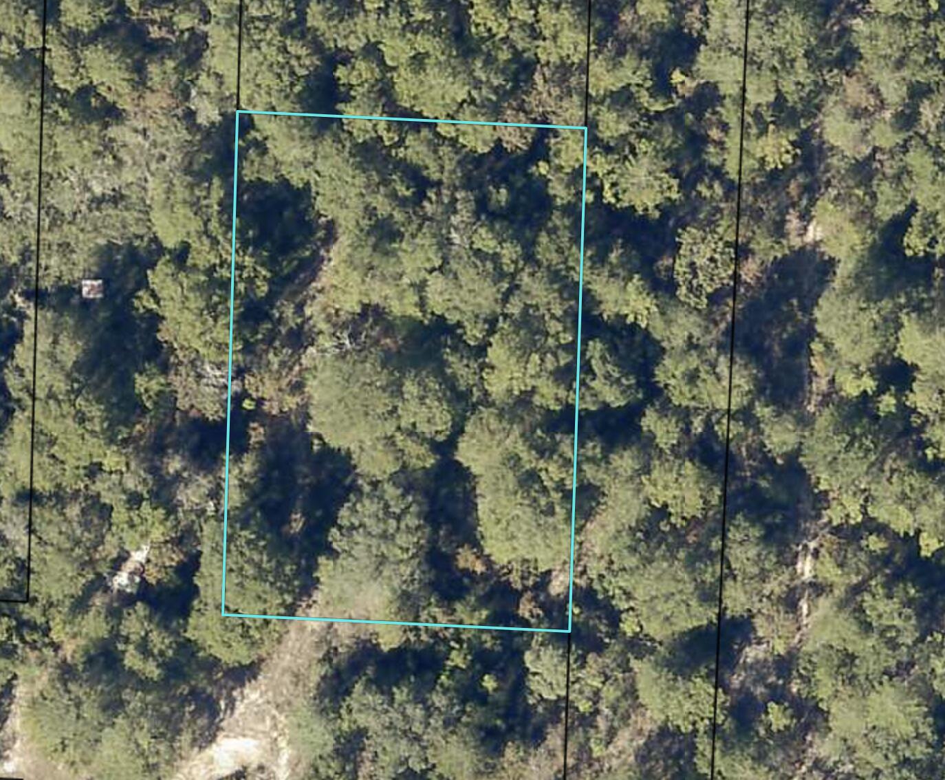 PINETREE - Land