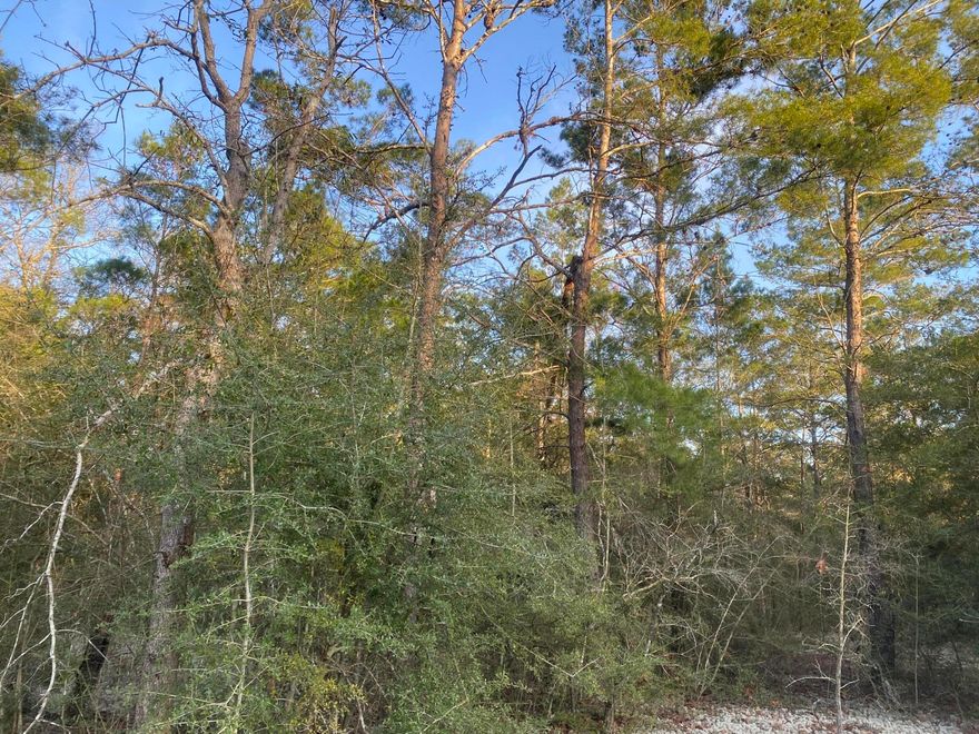 Discover serenity on over 5 wooded acres in the prestigious Lake Tantara subdivision. This prime real estate offers a perfect blend of nature and convenience. With power and water available at the street, envision your dream home nestled among towering trees. Immerse yourself in the tranquility of this private oasis, while enjoying easy access to essential utilities. Seize the opportunity to create your own retreat, where the beauty of nature meets the comfort of modern amenities. Your idyllic haven awaits in the heart of Lake Tantara - an unparalleled canvas for your vision.