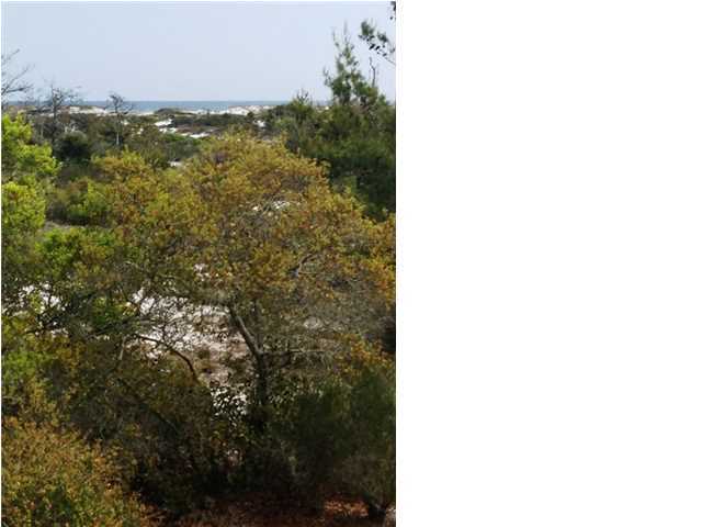 FOUR MILE VILLAGE - Residential