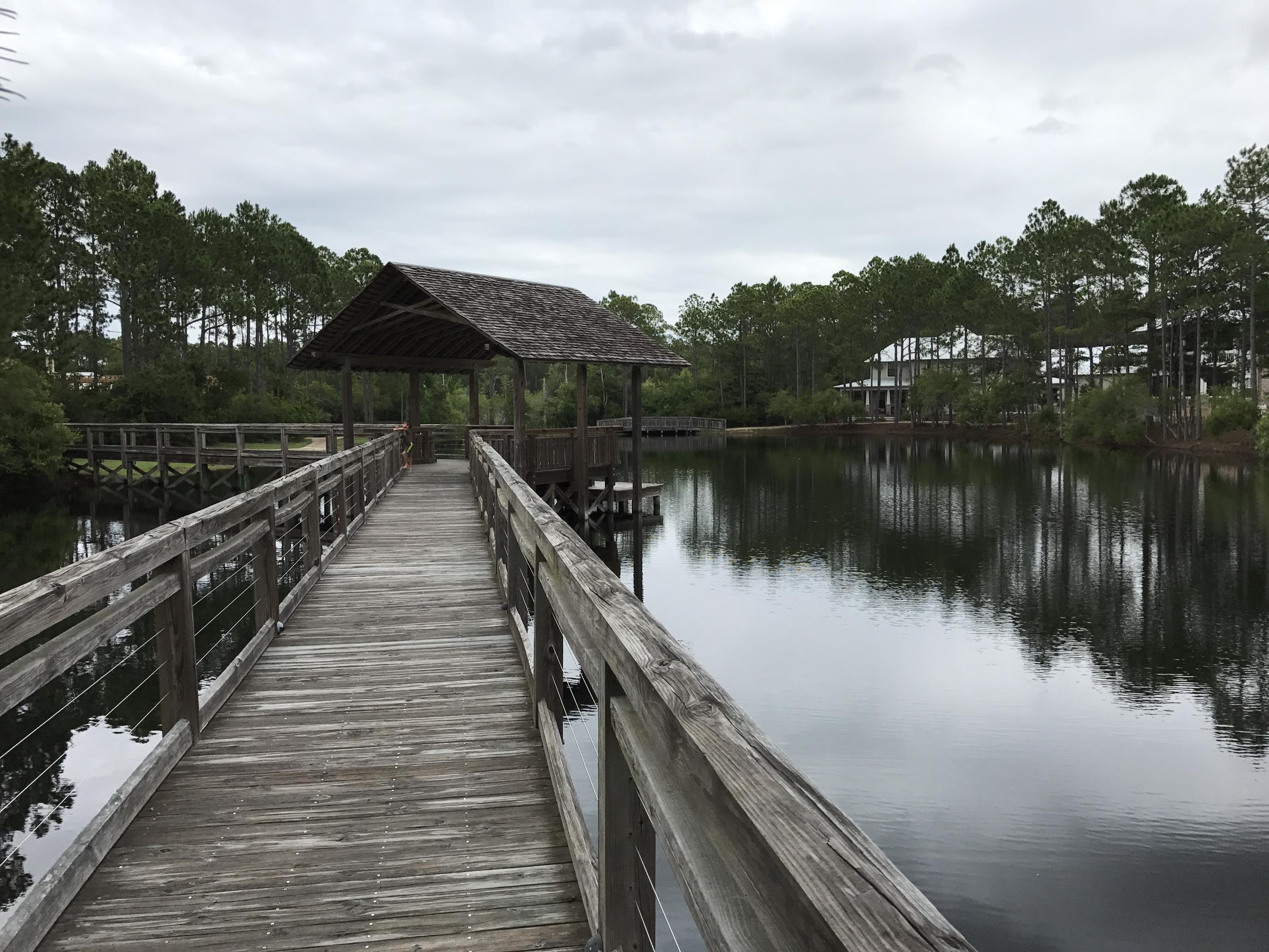 FOREST LAKES PH I - Land