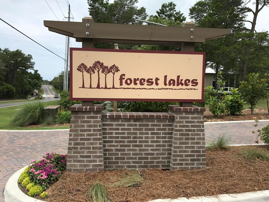 Forest Lakes is a very special 30-A neighborhood; Craftsman architectural design with upscale finishes and open floor plans; Gated, community pool and outdoor pavilion, Fireplace & Grill; green spaces, walking paths; fishing dock/pier and so close to the beach and bike baths/walking trails on 30-A. This lot backs to a Nature Preserve for ultimate privacy. Low HOA Dues. For additional information, please view the community website for covenants & restrictions, design codes, plats and surveys www.forest-lake.com