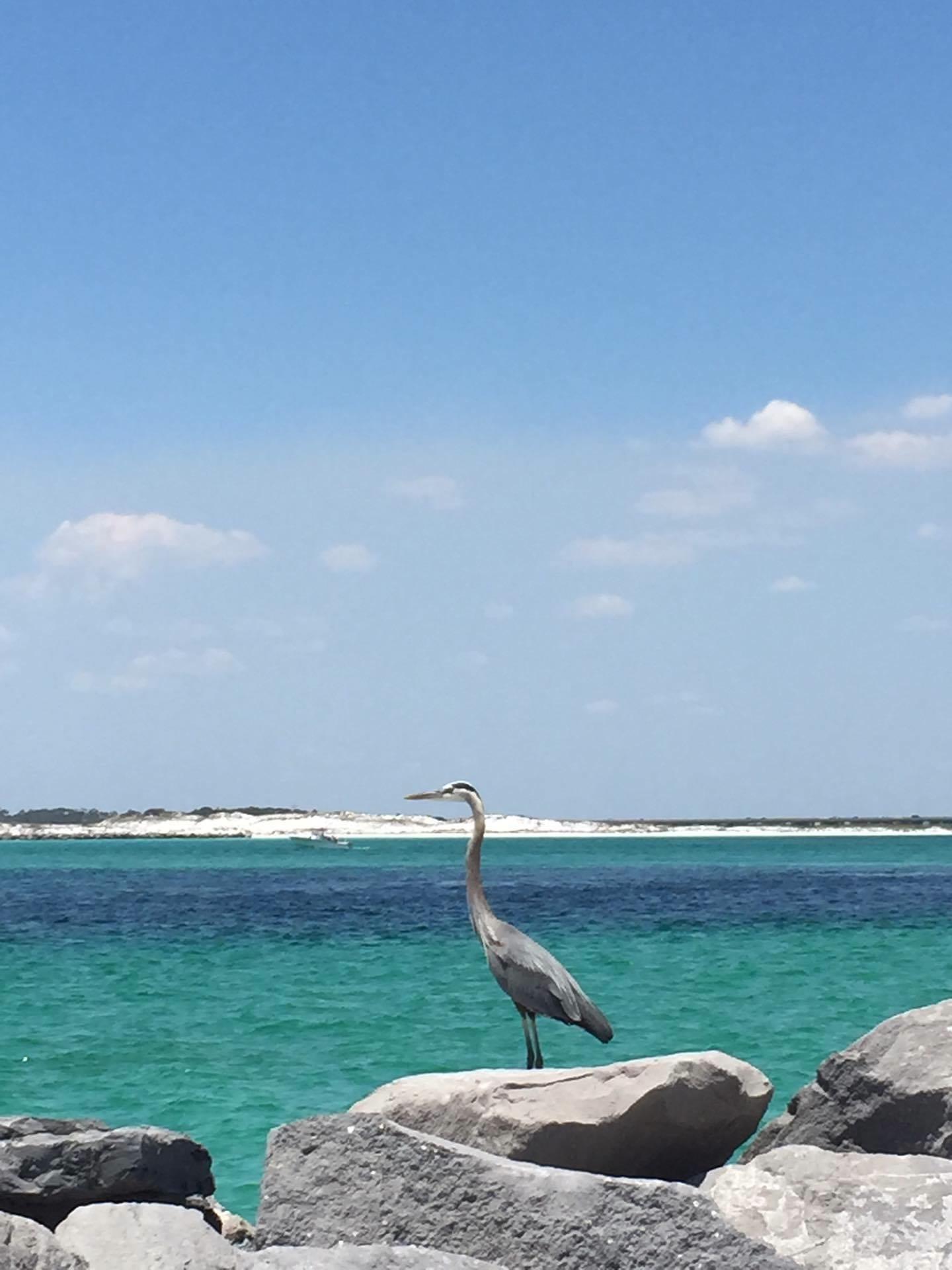HOLIDAY ISLE - Residential Lease