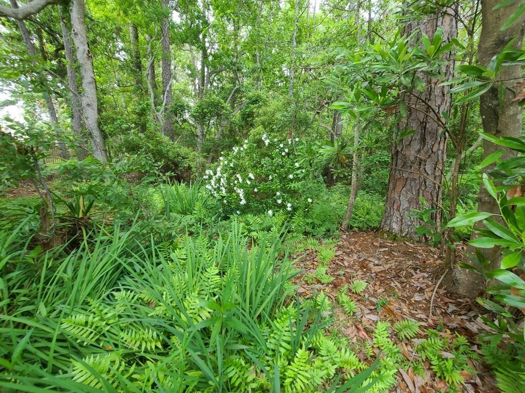 NORTH RIDGE CREEK S/D - Residential