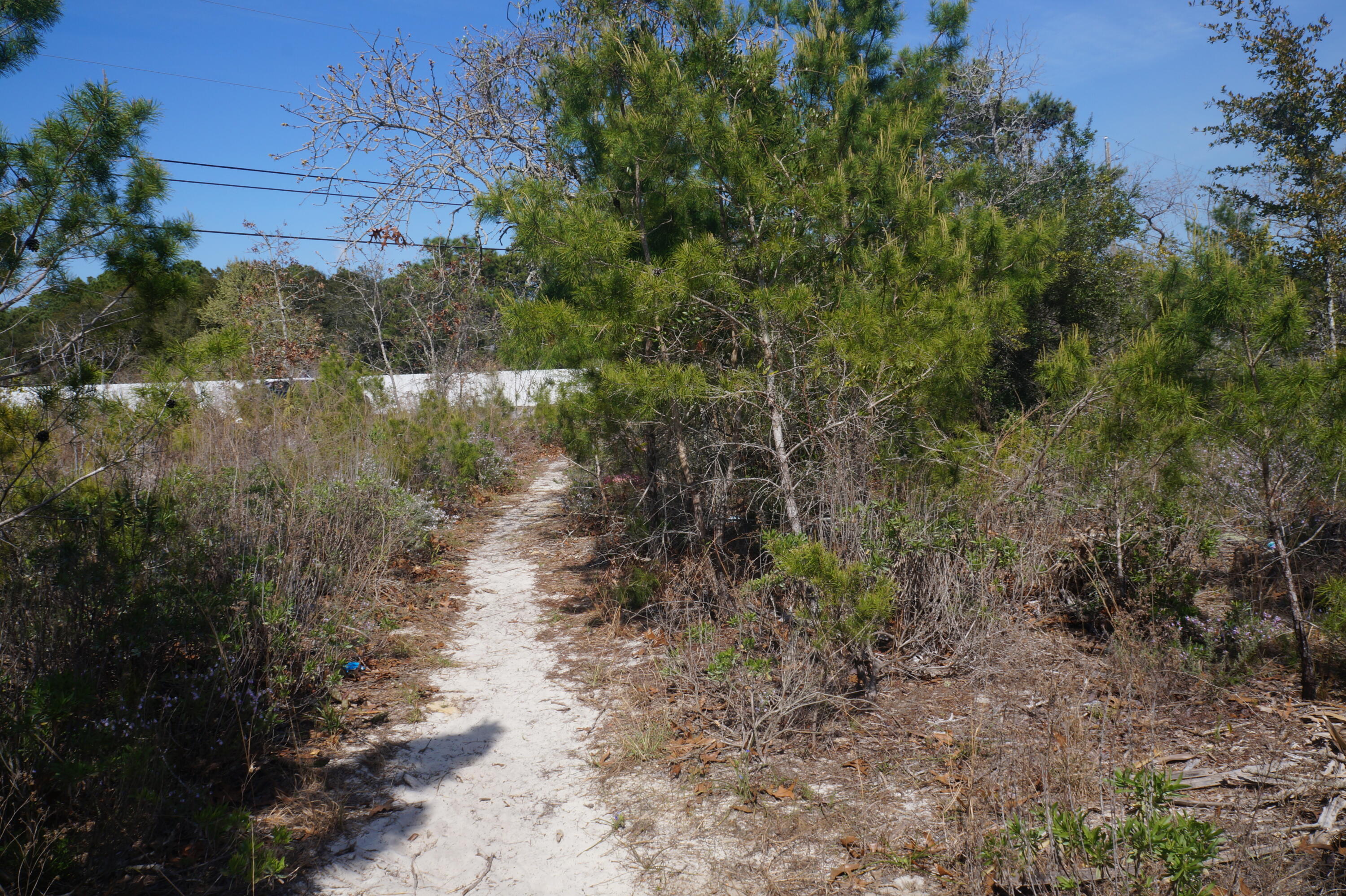 HOLLEY BY THE SEA, 1ST ADD - Land