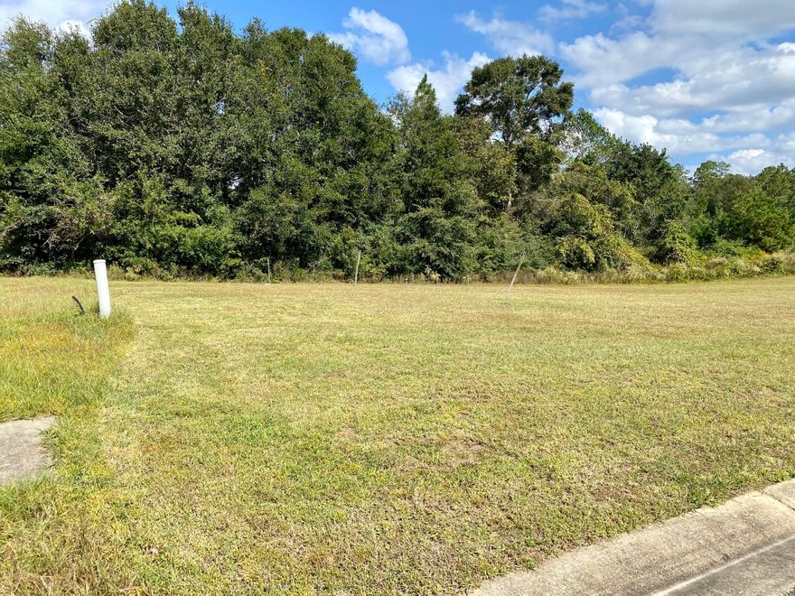 Build your new home in Lake Arthur Estates on this 0.66 acre lot! Tucked away in north Crestview, this neighborhood is very peaceful while offering awesome amenities. About 6 mins to the Publix and Winn-Dixie Shopping Centers! Be ready for fishing off the dock on the community lake (one of two lakes!), shooting some hoops at the basketball court, BBQing at the covered pavilion, or enjoying the playground & swings -all with a great lake view. It's time to build your future home, here!