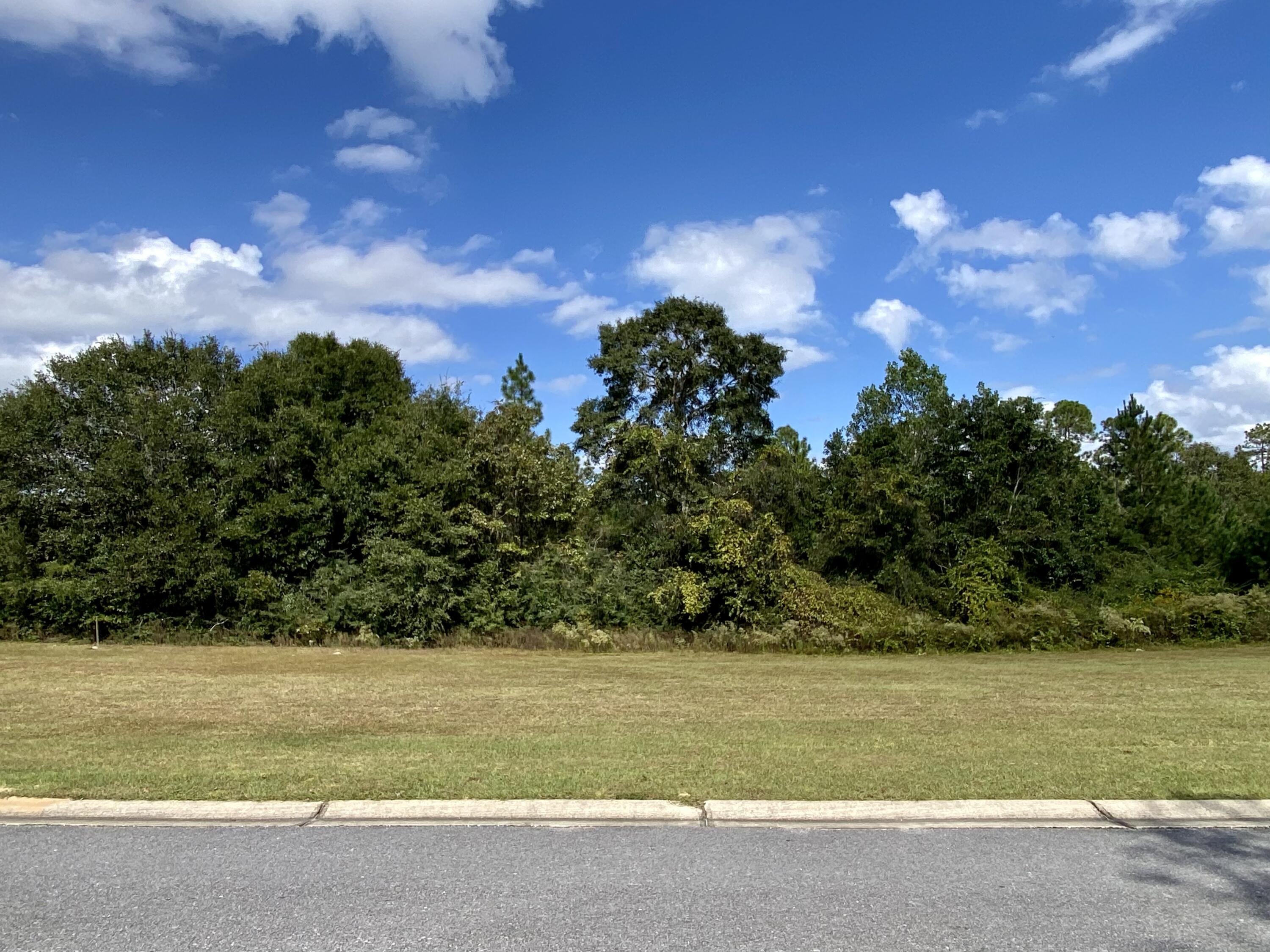 LAKE ARTHUR EST PH I - Land