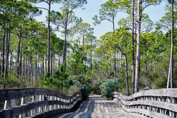 FAIRWAYS AT SANDESTIN PH 2 - Residential