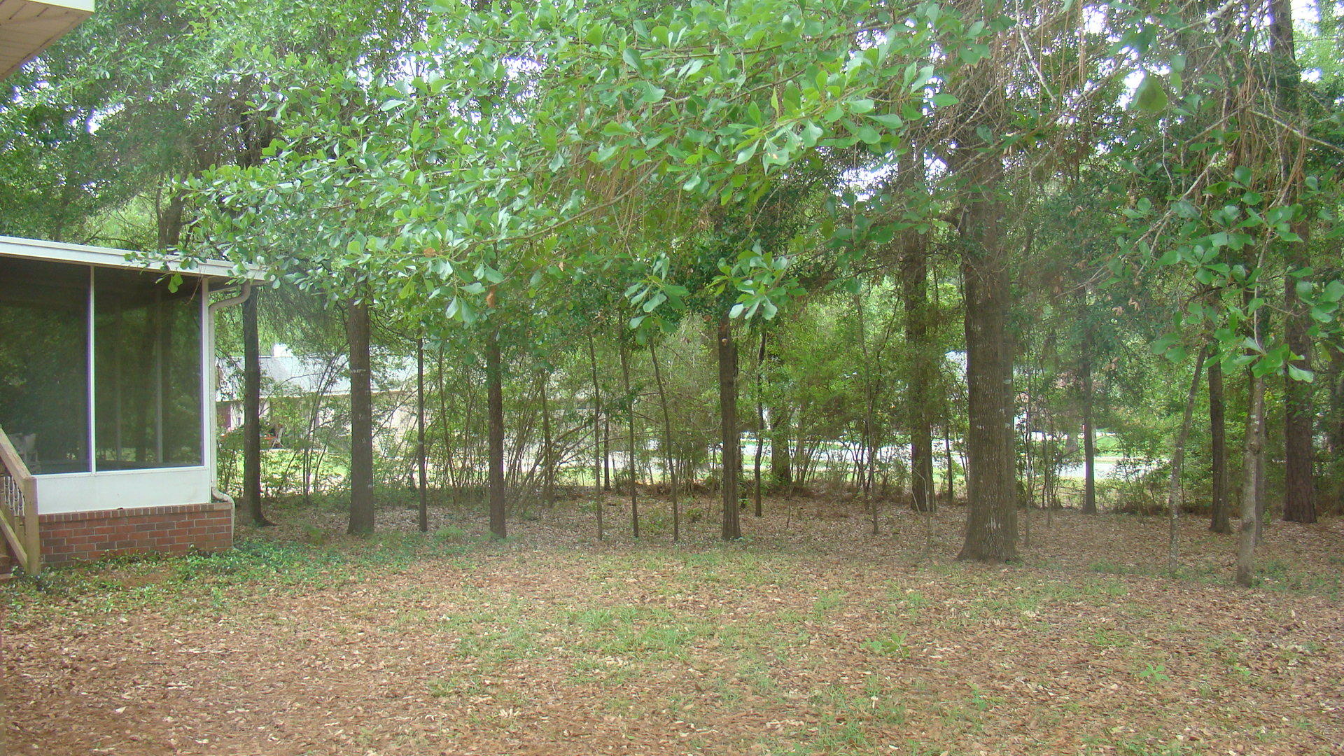 SILVER OAKS PH I - Residential