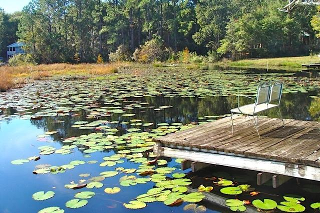 Juniper Hills S/D Unit 1 - Residential