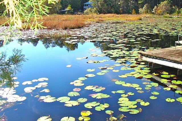 Juniper Hills S/D Unit 1 - Residential