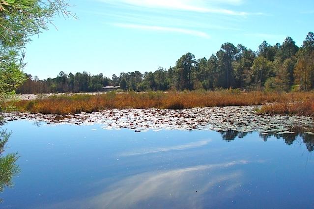 Juniper Hills S/D Unit 1 - Residential