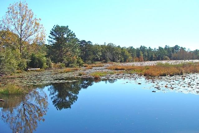 Juniper Hills S/D Unit 1 - Residential