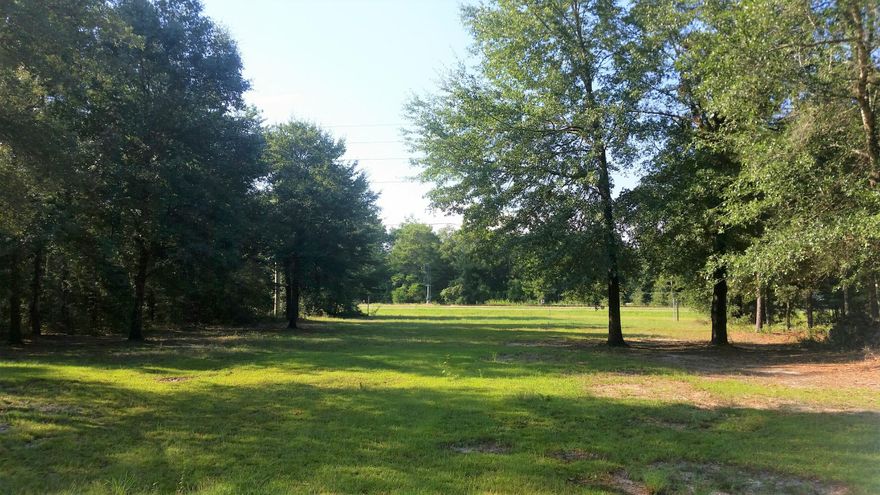 Perfect lot with a ''set-up''- power pole, water tap, and Seller to pay for Septic tank (buyer to select placement). This is a great location to place a new manufactured home or to use as a base station for a motor home. Property is already cleared, beautiful shade trees and near I-10 Exit at Mossy Head, FL.