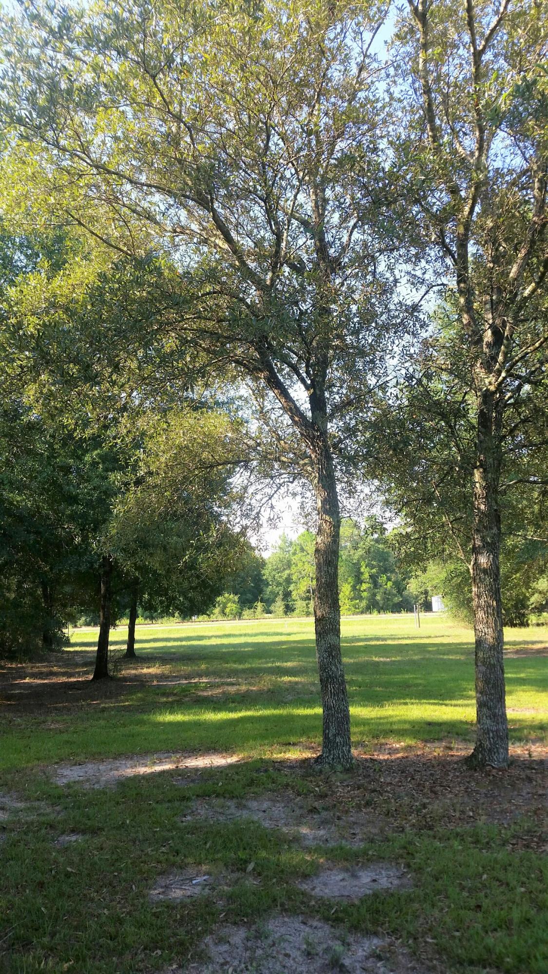 OAKWOOD HILLS UNIT 3 - Land