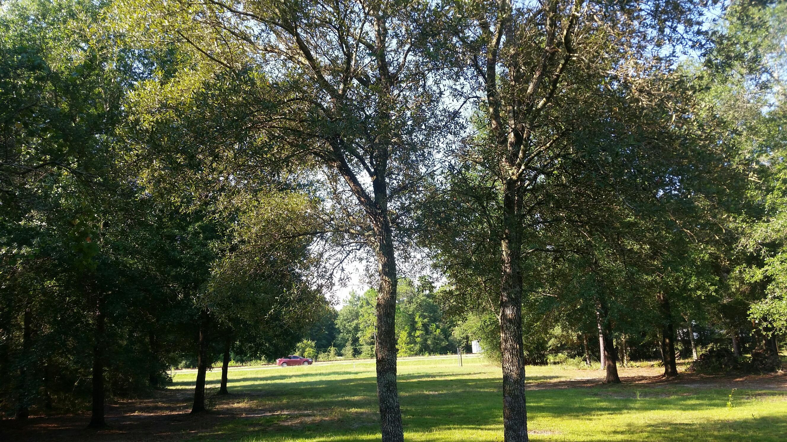 OAKWOOD HILLS UNIT 3 - Land