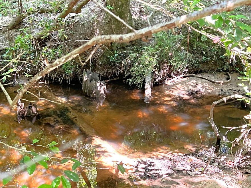 If you're looking for hunting or recreational land, this may be just what you're looking for! With a creek running through the property...deer, turkey & other wildlife abound. Less than 1/2 mi. off paved road. Although located in a rural area & zoned General Agriculture, this property is w/in 10 min to shopping, dining & I-10. Also w/in 45 min to the Beaches of S Walton & an hour to Panama City Beach. Primary access to the property is by deeded easement (for ingress/egress & utility) & recreational access at present. Will need some work or small bridge for on-road vehicles, but there is apx. 5 acres in back of creek that would make a great hunting cabin or even to build your own private retreat! Power runs down Strickland Rd.; Well & septic would be required. Time to take a break!!