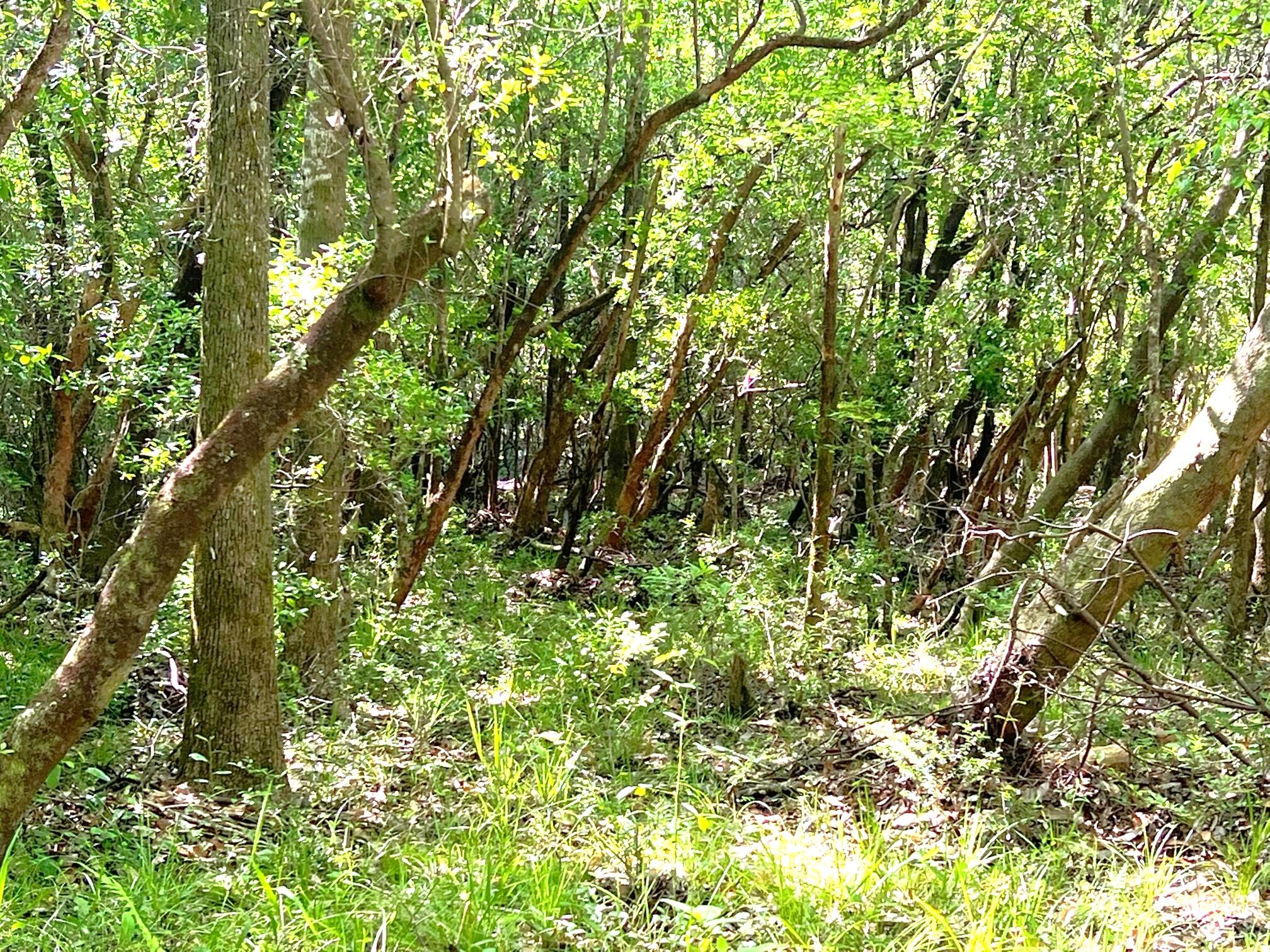 METES & BOUNDS - Land