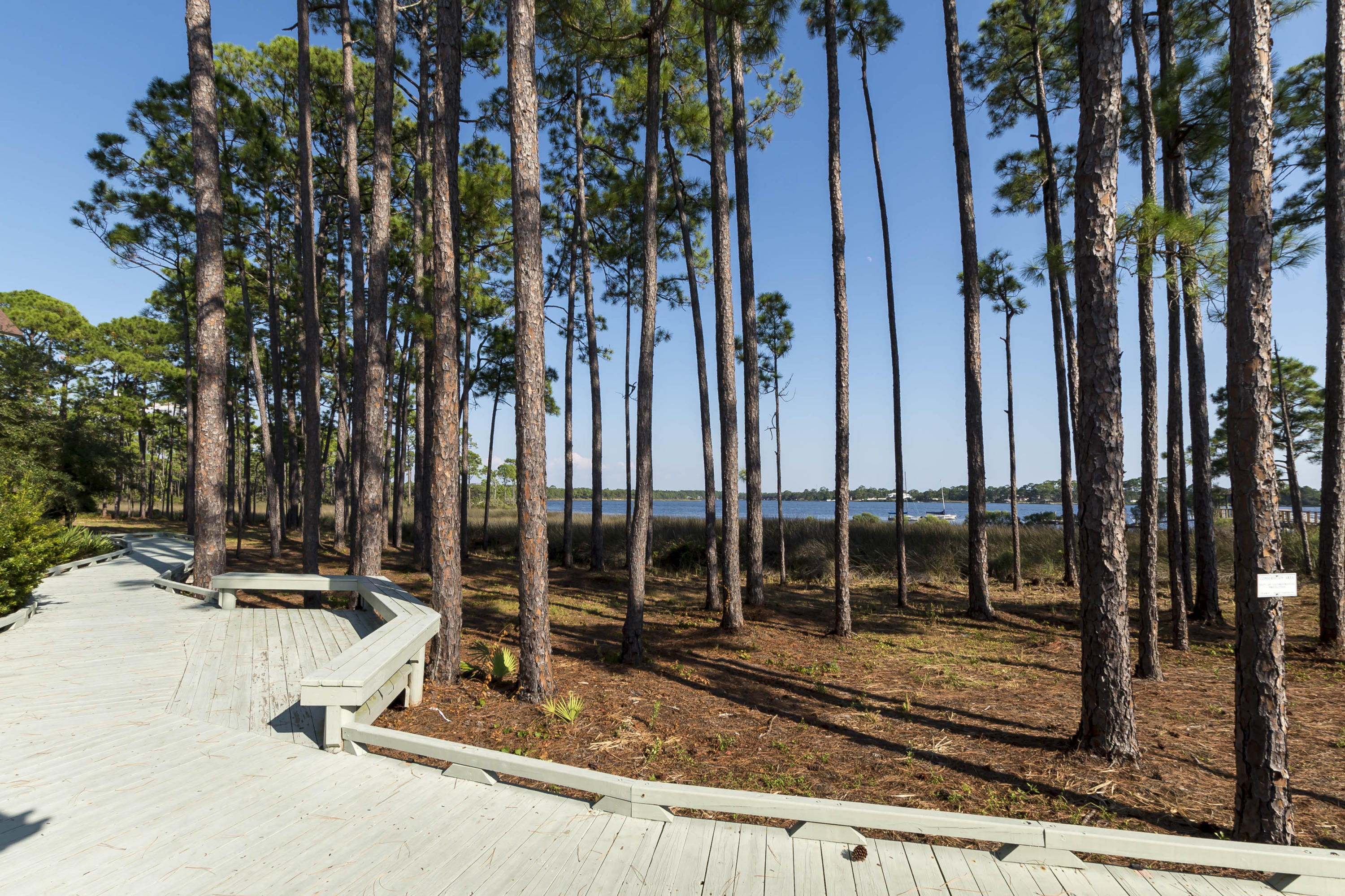 Wild Heron - Residential