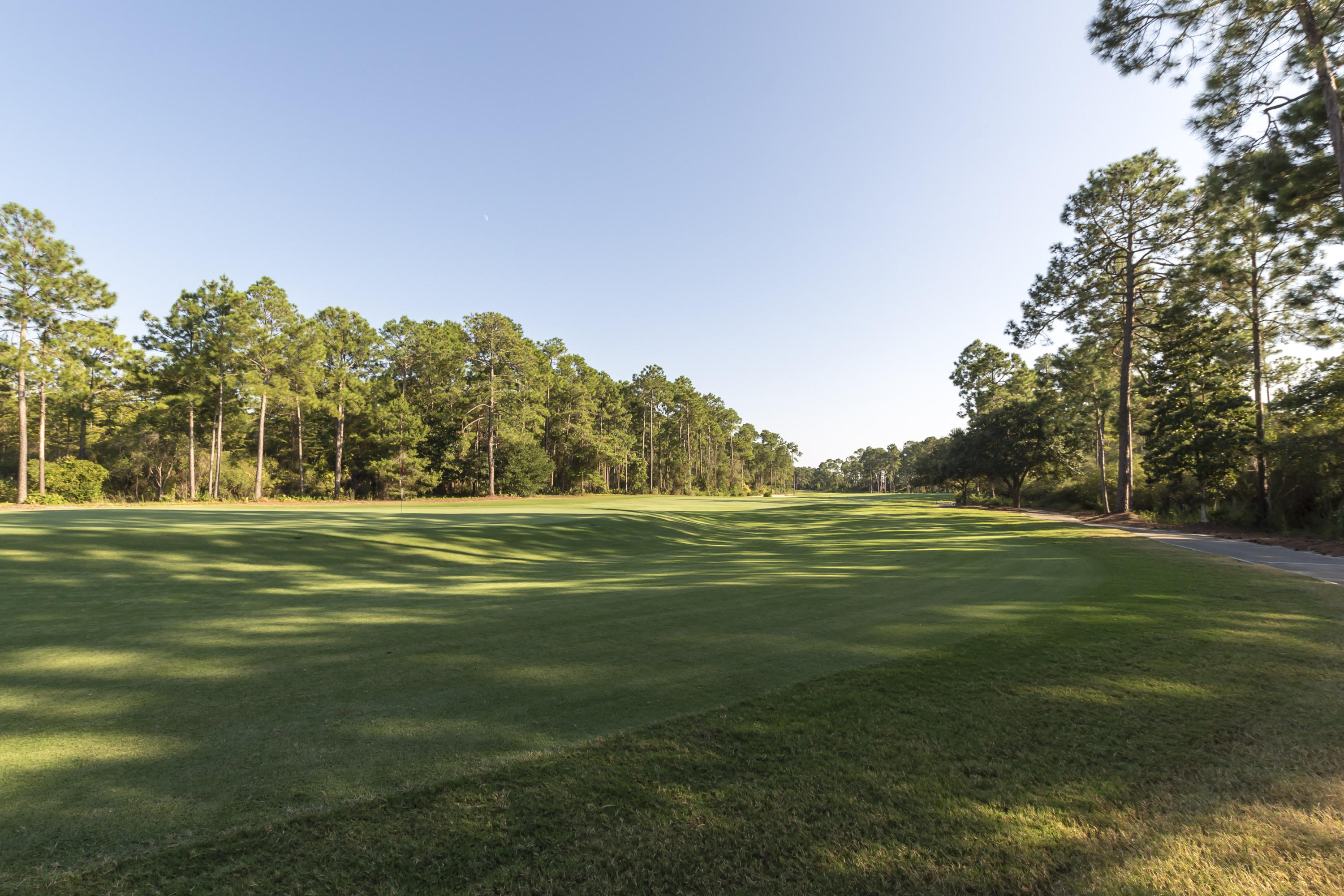 Wild Heron - Residential