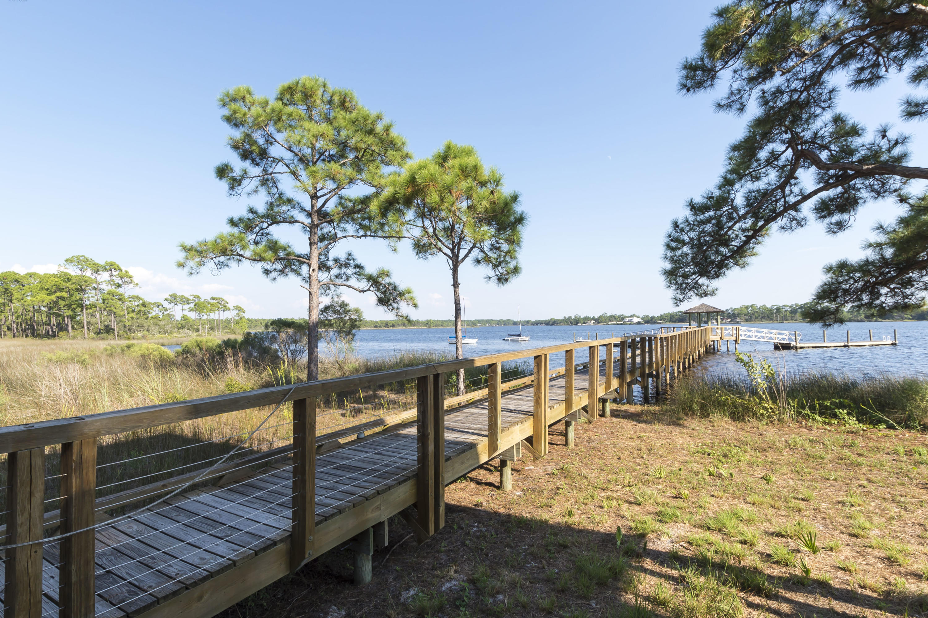 Wild Heron - Residential