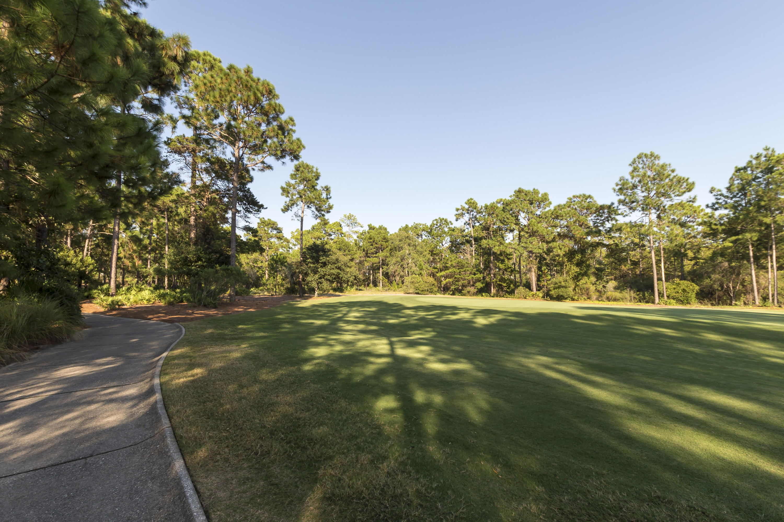 Wild Heron - Residential