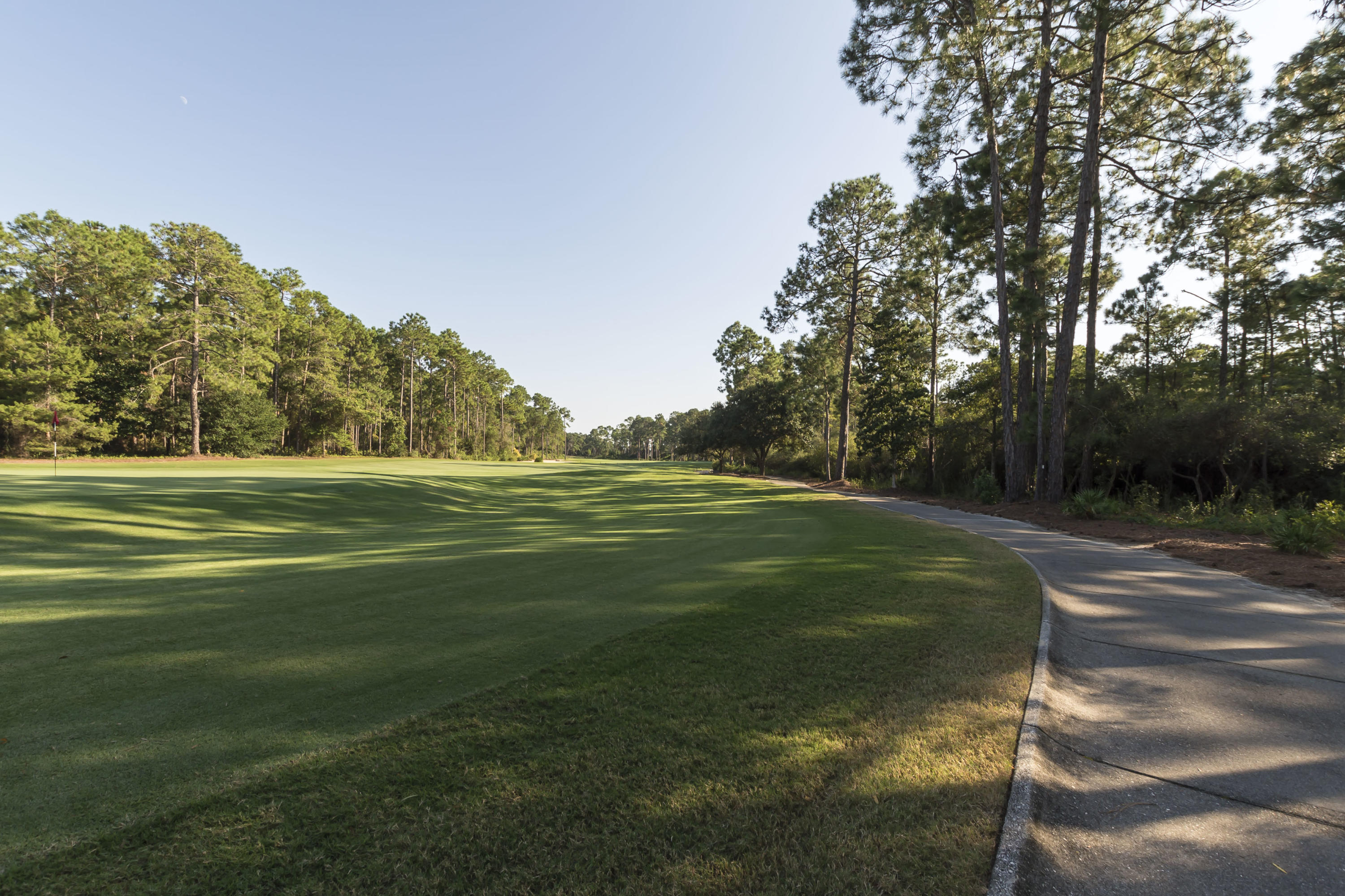Wild Heron - Residential