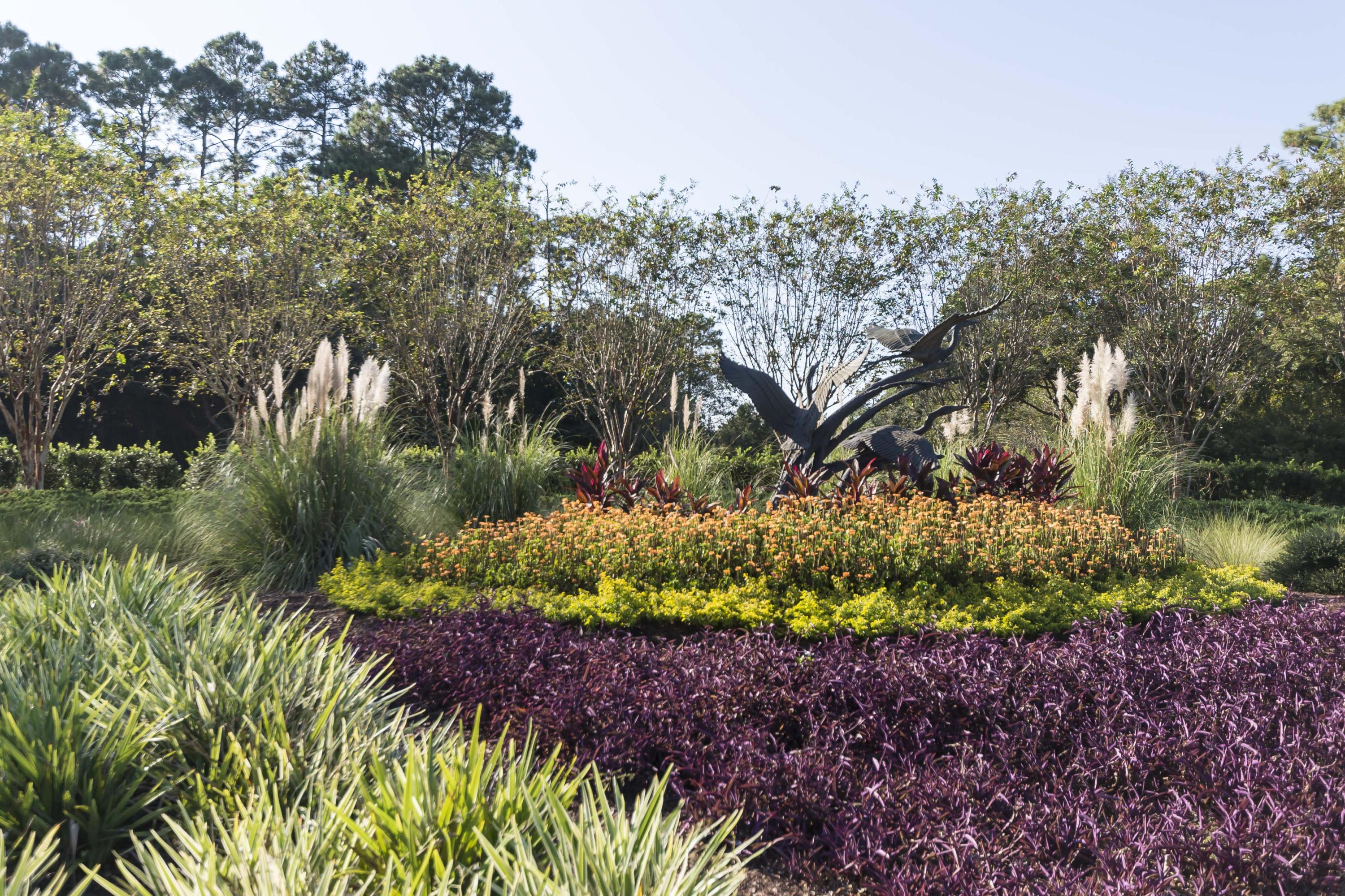 Wild Heron - Residential