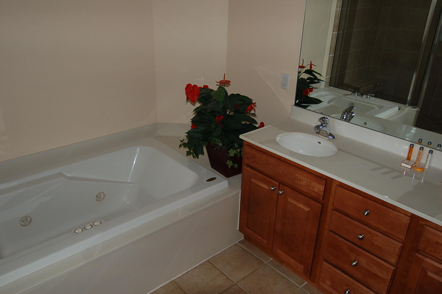 ST. LUCIA AT SILVER SHELLS - Residential