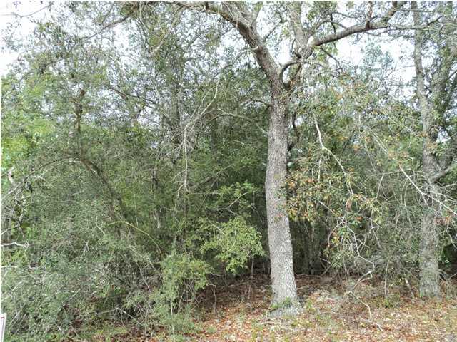 PINETREE S/D, Lots 10 thru 13, Blk 36 - Land