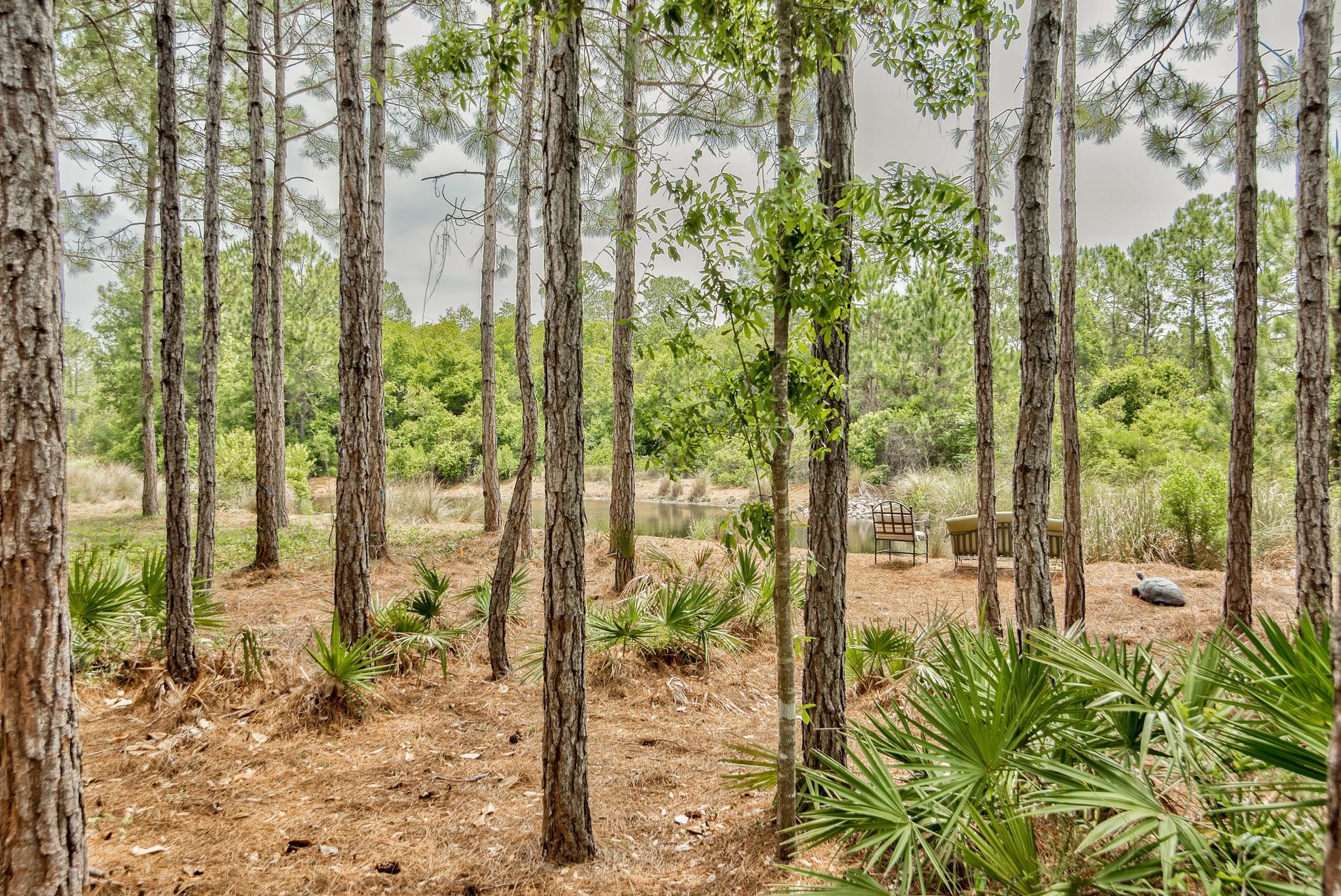 WATERCOLOR Camp District (Phase 2) - Residential