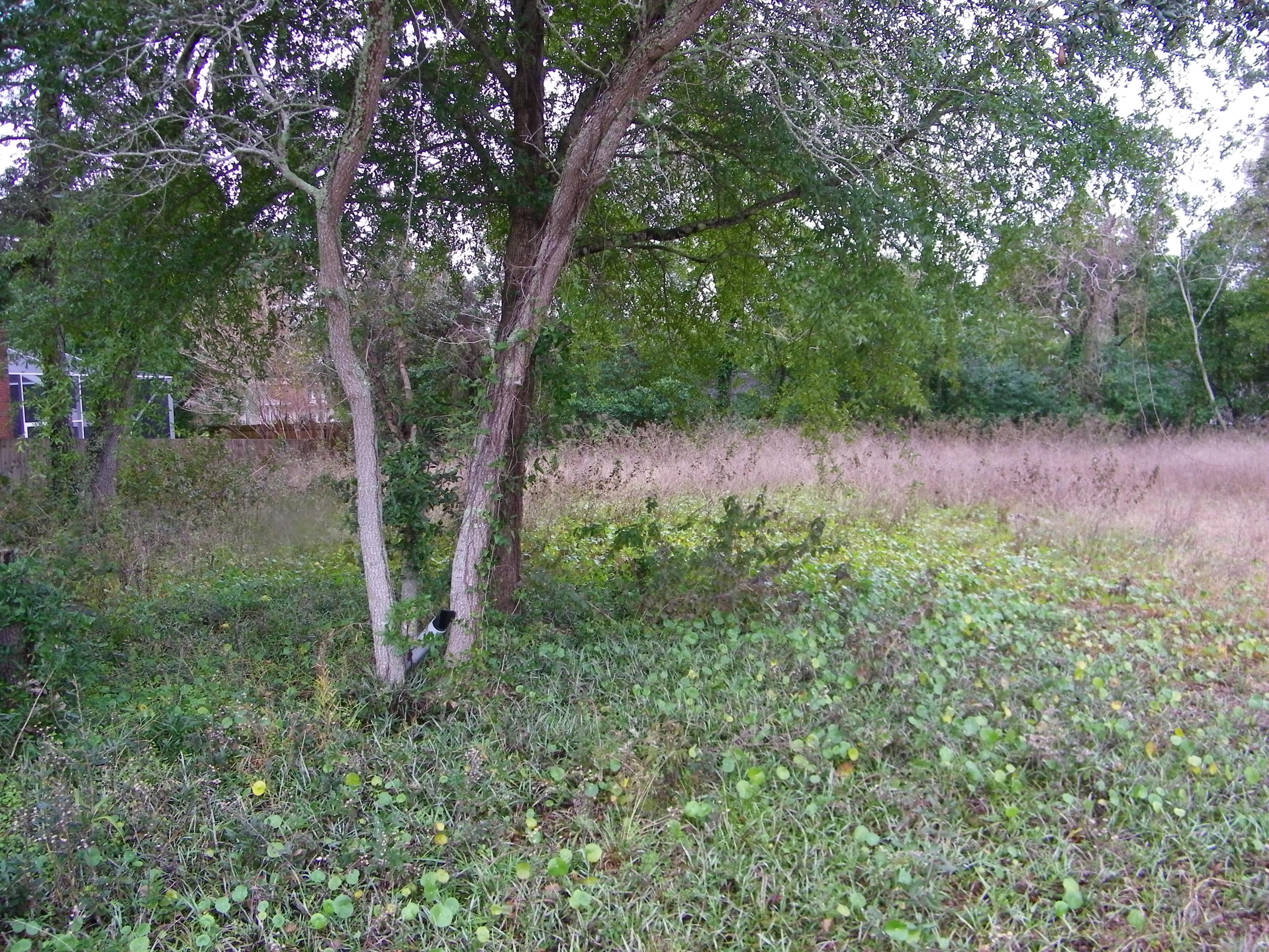 CINCO RIDGE ESTATES - Land