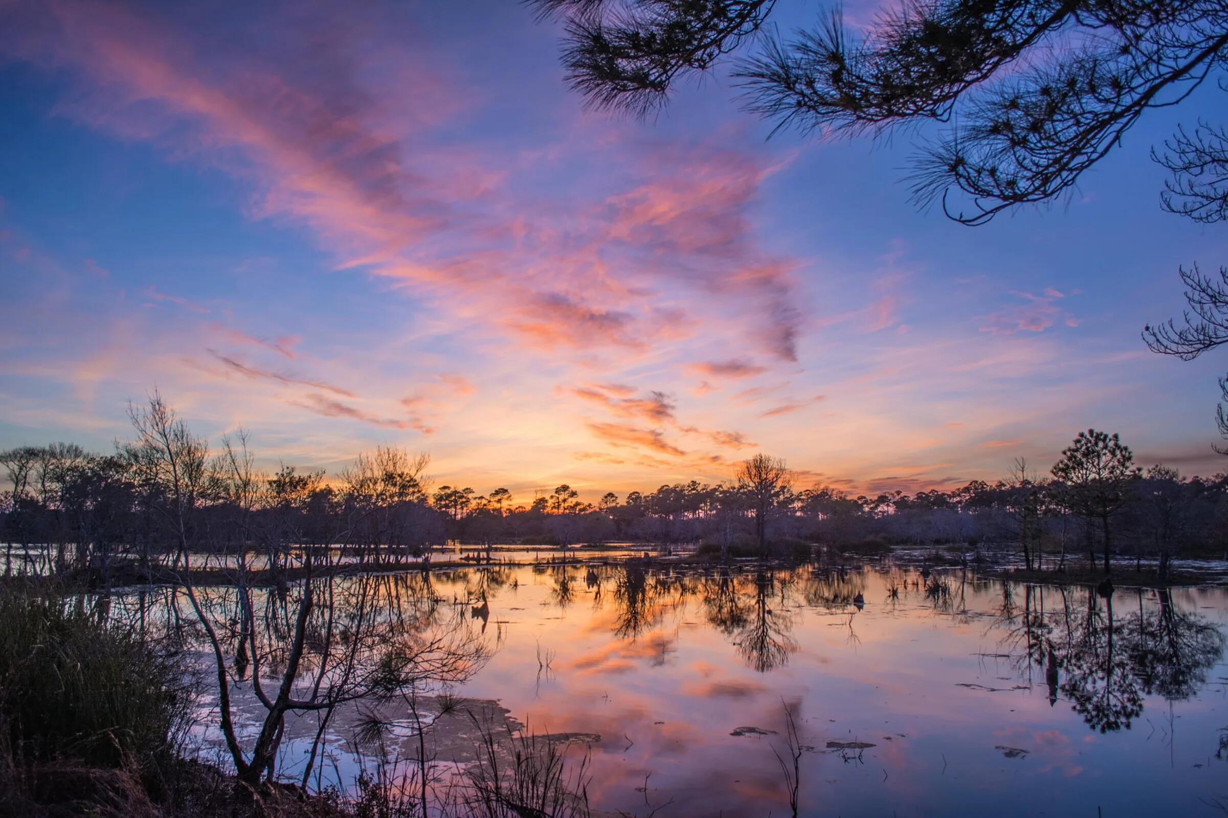 Nautical Watch - Residential