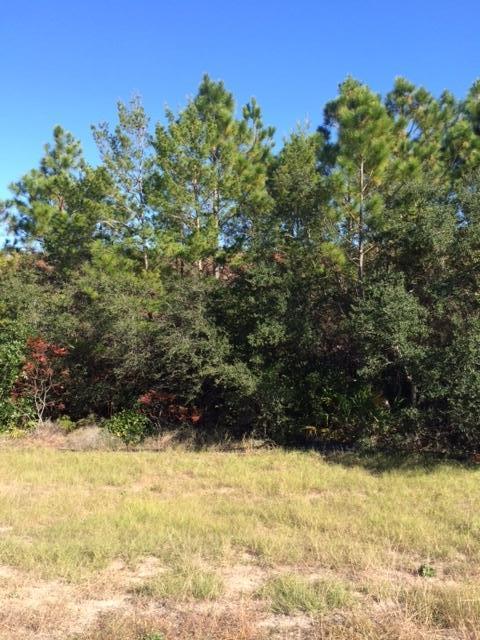 CYPRESS DUNES - Land