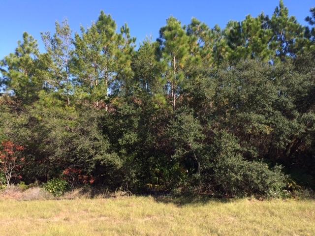 CYPRESS DUNES - Land