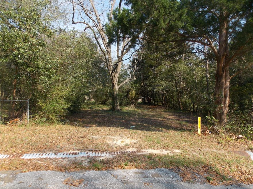 Nice lot facing Captain Street but just off of Bruce Ave. Lot has city water, city sewer, and electrical to it. The lot was also cleared a couple years ago and is ready for someone to build a home. This could be a great investment to put a rental home on or hold until land prices go up and resale. Take a look today and give us a call!