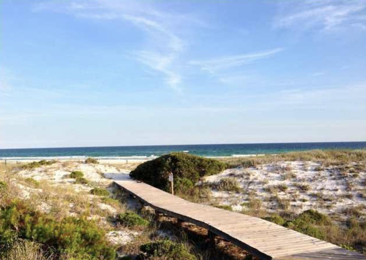 THE PRESERVE AT GRAYTON BEACH - Land