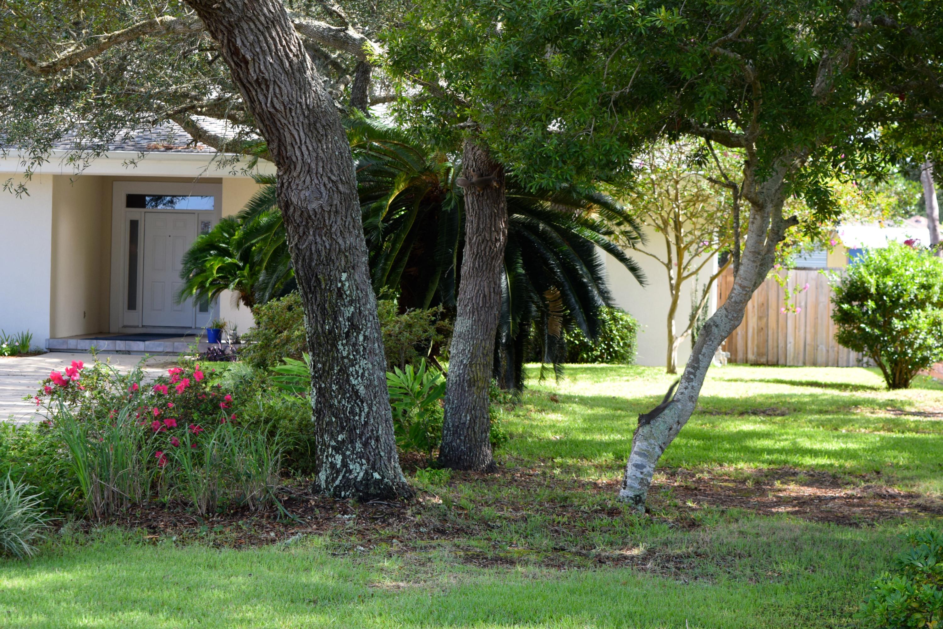 Biscayne Point Pine Ranch - Residential