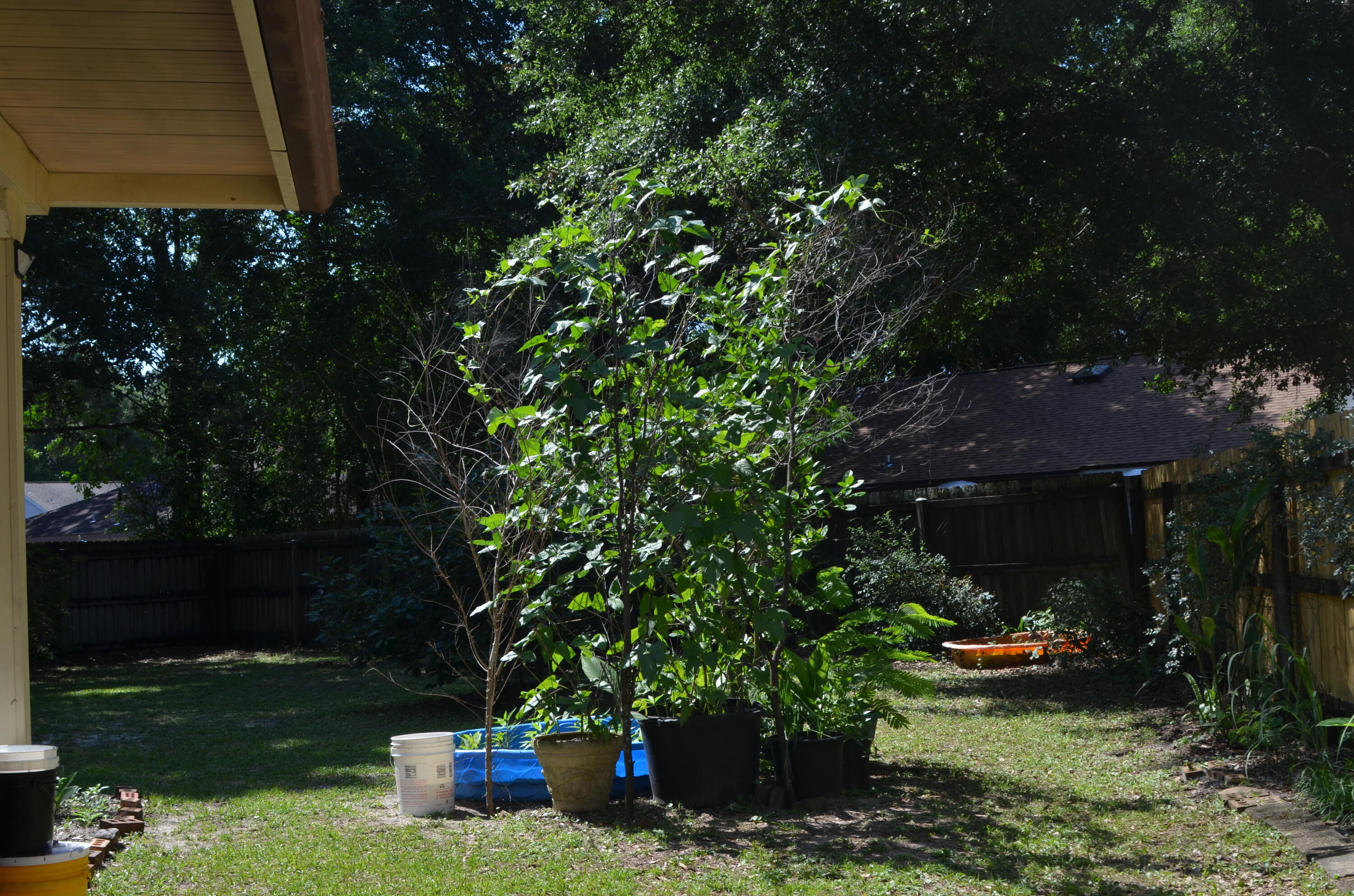 CEDAR RIDGE - Residential